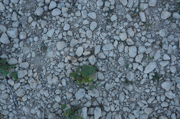 Natural stone. Colorful pebbles on the river