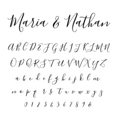Naklejka premium Script Italic Font Cursive Vector Hand-drawn Alphabet 