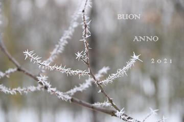 Buon anno 2021