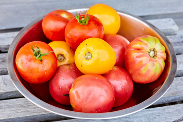 Stainless Steel Bowl of Fresh Tomatoes on Slatted Wood Surface 1