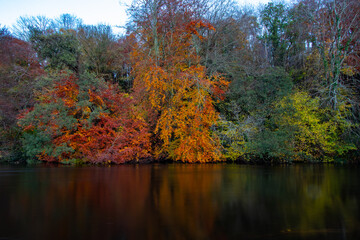 Autumn landscape of colorful trees reflected in the mirrored surface of the calm river on a cloudy day. Trees with orange fall foliage. River Liffey Ireland, Europe 2020