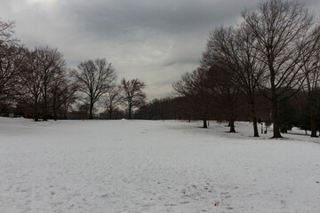 Fototapeta na wymiar a dark, stormy winter landscape scene of Inwood Hill Park in New York City during a snow storm, bare leafless trees surrounded by snow covered ground and ominous, gray clouds