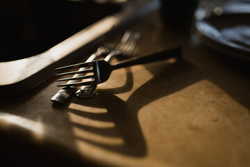 Forks with a large shadow sitting on counter next to sink, dirty dishes