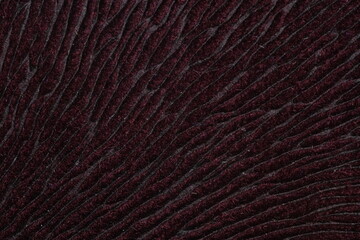 Red maroon color of hairy natural fur pattern texture background. Image photo