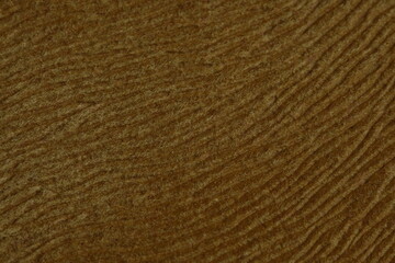 Brown color of hairy natural fur pattern texture background. Image photo