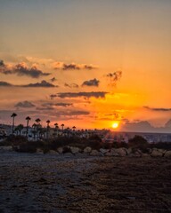 Sunrise at the beach and the rowers training in Spain © ruthlaguna