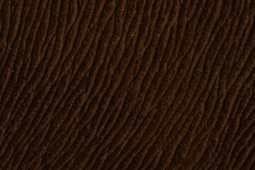 Brown earth color of hairy natural fur pattern texture background. Image photo