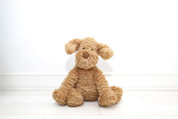 a teddy bear on a white background