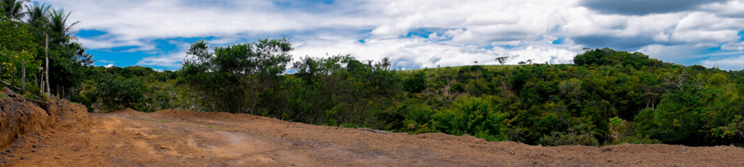 Panorama de estrada de terra cercada por mata tropical
