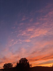 Pretty vertical sunset