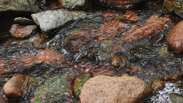 Water Flows Over Rocks in Creek Right to Left Closeup Slow - Acadia National Park, Maine, USA