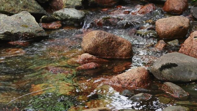 Water Flows Over Rocks in Creek Spiral to Front - Acadia National Park, Maine, USA