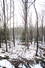 Cuyahoga valley national park in ohio during winter