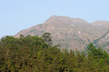 the nature view at Pat Sin Leng Country Park