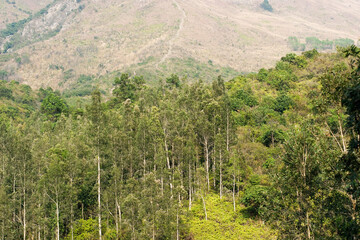 the nature view at Pat Sin Leng Country Park