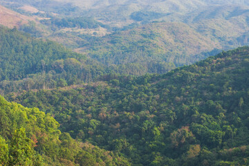 the nature view at Pat Sin Leng Country Park