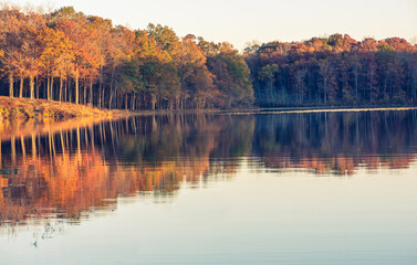Trees along a shoreline reflecting in a still morning lake