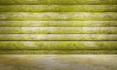 Green mossy wooden panel and floor. Old grungy wooden plank wall texture background