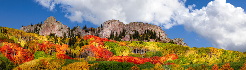 Tree leaves changing color in the Fall in the Rocky Mountains of Colorado. The sky is blue with a...