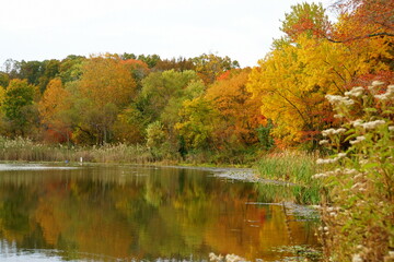 A beautiful day with reflection the fall foliage at Folley Pond near Banning Park, Wilmington, Delaware, U.S.A