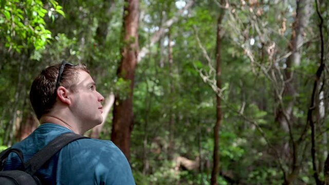 Man Walking Through Lamington National Park Rainforest in Australia