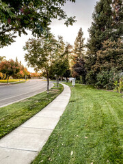 path in the park