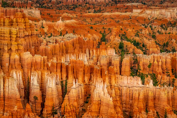Hoodoos in Bryce Amphitheater