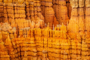 Hoodoos in Bryce Amphitheater