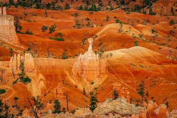 Hoodoos in Bryce Amphitheater