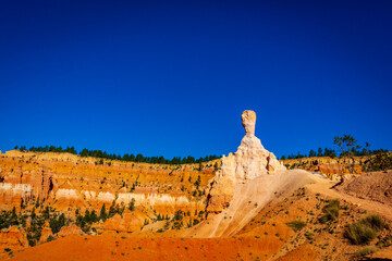 Hoodoos in Bryce Amphitheater