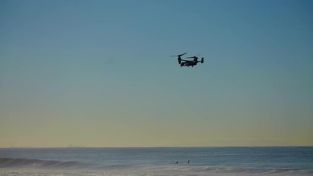 Osprey hovering over the beach in Santa Monica California
