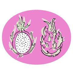 Abstract vector illustration of dragon fruit