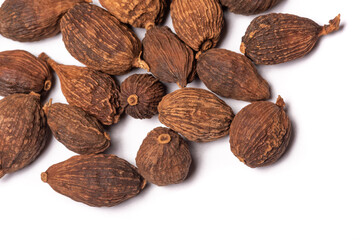 Black Cardamom, latin name: Amomum subulatum on a white background close-up view