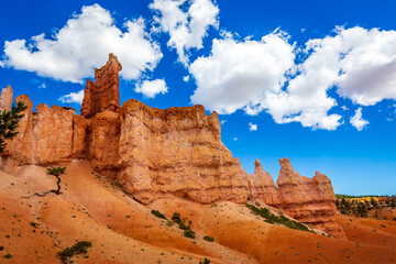 Fototapeta premium Hoodoos in Bryce Amphitheater