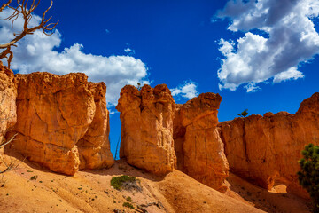 Fototapeta premium Hoodoos in Bryce Amphitheater