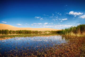 Lake is located in a fine sand dunes and mountains.