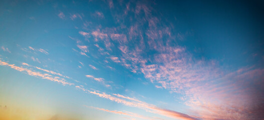 Looking up at sky during sunset, blue sky with pink clouds. 