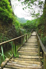 Rustic bamboo foot bridge in rural Vietnam
