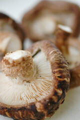 オーガニック野菜イメージ　きのこ