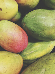 mango fruit