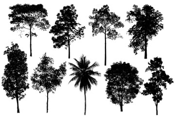 The tree shape is the most important thing in the world, Oxygen Production