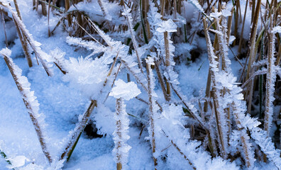 Ice crystals on the grass in winter as an illustration of the crystallization of water mist on cold...