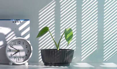 Sunlight and shadow on surface of little green houseplant in flowerpot with round table clock and desk calendar on white table at morning time
