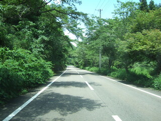山の中の道路