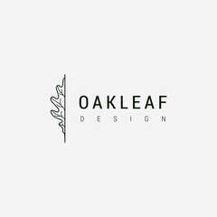 Oak leaf logo design illustration vector template