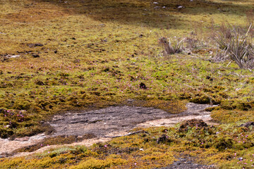 Landscape of a granite rock outcrop east of Northcliffe in Western Australia