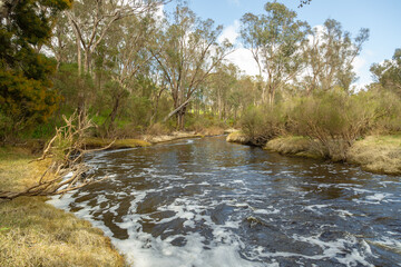 Blackood River south of Nannup in Western Australia