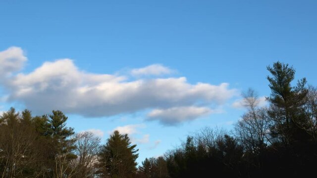 A blustery day in early winter as shown by a static timelapse view of clouds moving across the sky. Wompatuck State Park.