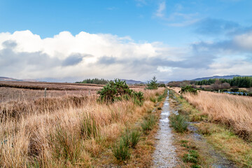 The way to Tullyard wood by Ardara in County Donegal - Ireland