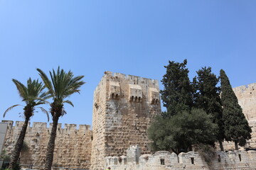 Fototapeta na wymiar A spire surrounded by trees in the wall of Jerusalem under a blue sky